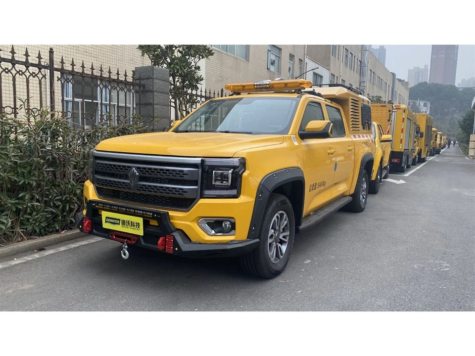 Dewater Type Flood Control Pickup4(001)