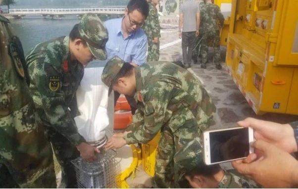 Dewater Operation Trainning2